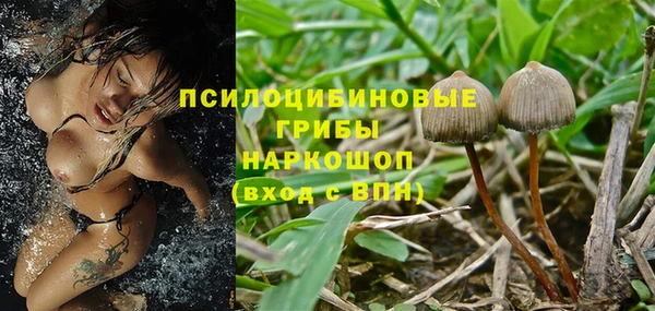 спайс Зарайск