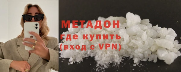 индика Заречный