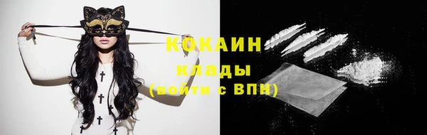трава Жердевка