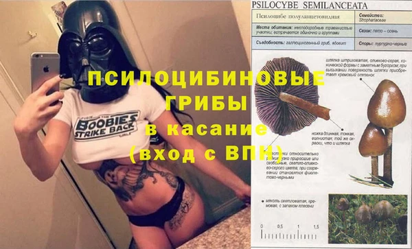 трава Жердевка