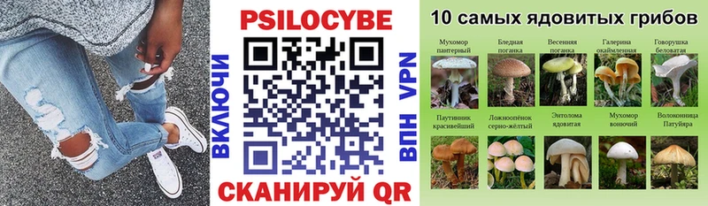 Псилоцибиновые грибы Psilocybine cubensis Купить закладки Вяземский